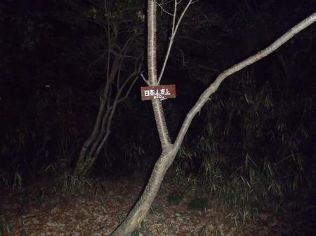 日高山（260m）に到着