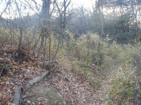 少しすると左手にピークあり