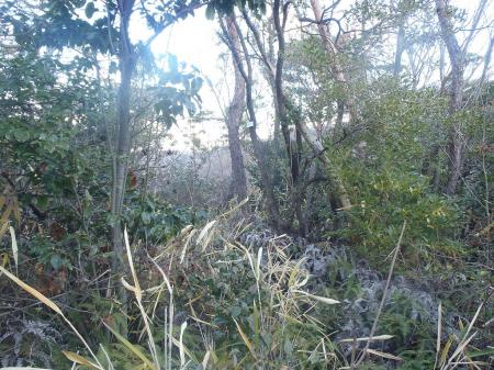 少し登りにくいがプレートがあった