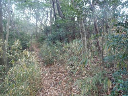 さらに進むと右手にピークがあった