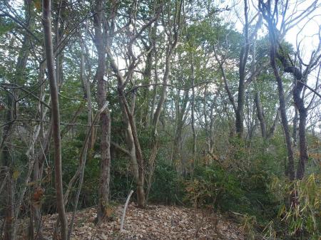 またプレートあり