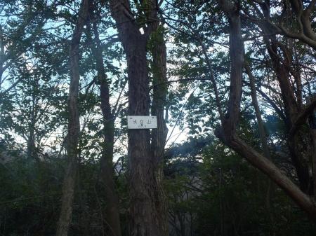 坂登山（157.9m）に到着