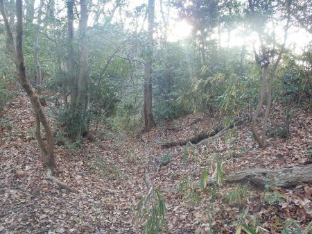 分岐に西谷と書かれたプレートがあった