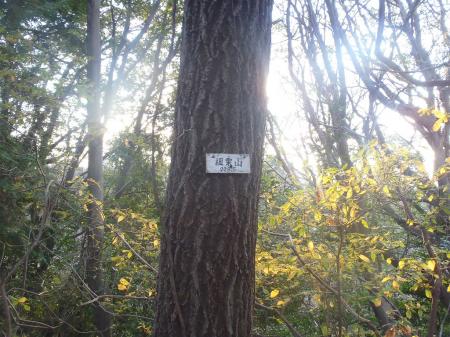 細栗山（208.5m）に到着