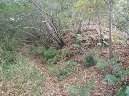 さらに右手にピークがあった