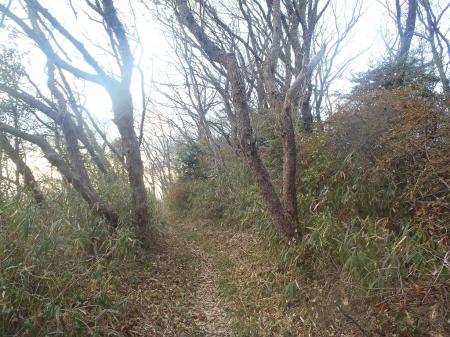 昨日確認できなかった国見嶺は右