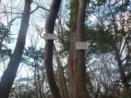 国見嶺（251.4m）に到着