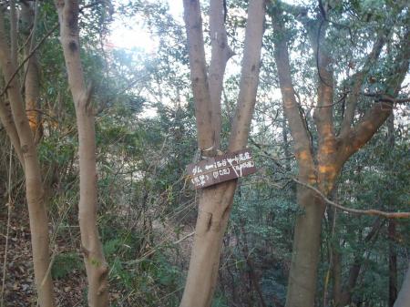 戻り昨日いった鉄塔のほうへいってみる