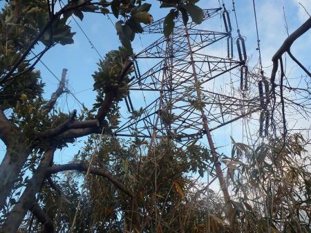 この鉄塔ピークになってるが！？