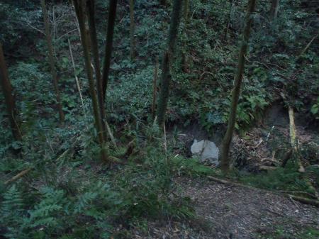 昨日と同じ谷へ下る