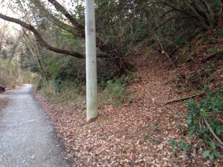 左手に尾根が見えるがどこから入るかが問題。画像の場所のこの密猟110番からが入りやすい