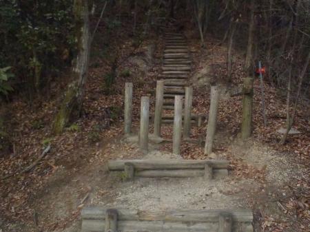 ここから入山という形になる