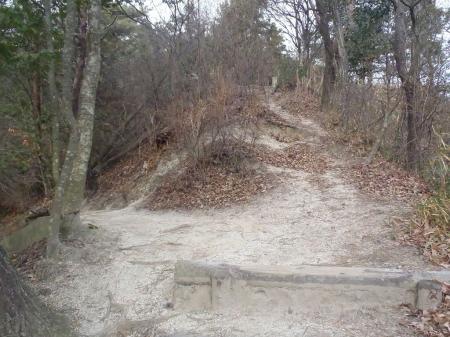 分岐があるが、尾根道かハイキング道どちらでもOK。尾根道へいってみた