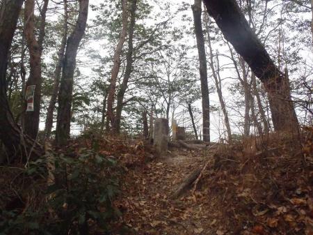 ピークぽいところがあるが何もなし