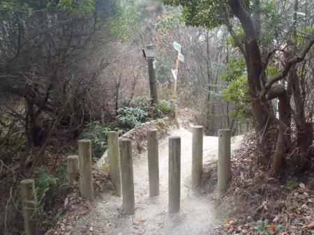 ここからほしだ園地まつかぜの路になるが、この画像左側より立ち入り禁止のロープへ入り尾根を歩く