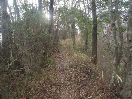 尾根道はトレースもある
