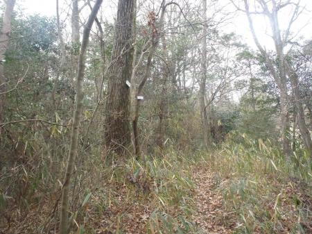 さらに尾根を進んでいくと