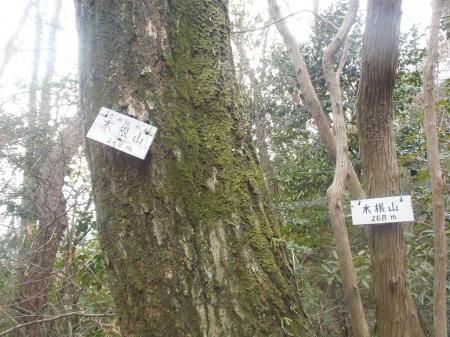 木根山(268m)に到着