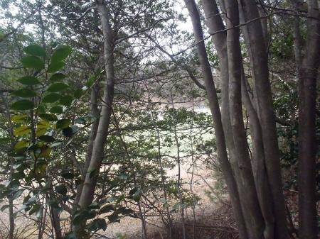 ゴルフ場の真横を歩いているのでボール飛んできそうだ