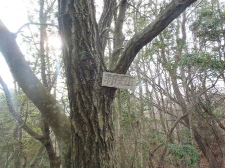 羽伏山(284.7m)に到着