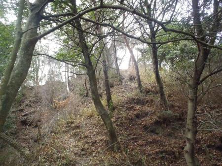 さらにピークへ