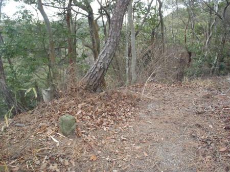 このピークが東小松山(267.8m)のはずだがプレートはなく標点だけあった