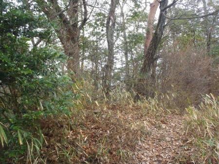 さらにこのピーク付近が南大谷山(264.3m)はずだが、こっちもプレートなし。ここのピークより急坂を下る。ちなみに向こう側のピークが大谷山