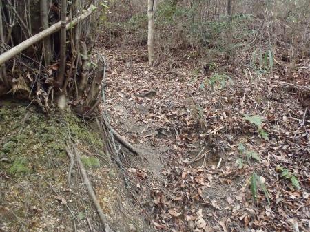大谷山への登り。ロープもあった