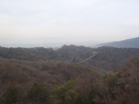 展望デッキからの展望。下に星のぶらんこが見える