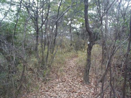 尾根に入って登り返しはじめてすぐのところにプレートがあった