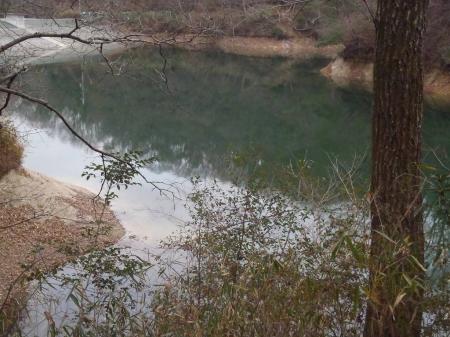 星田新池は緑色