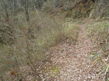 この地点で左へ下って池を渡れるが、前回通ったときにルートとは思えないのでスルー。しかし早刈山は左に見える尾根になる