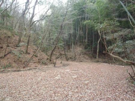 だだ広いところにでる。左側の尾根へ取りつぎできるが！？