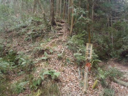 ここから一蓋被の尾根へ登っていき、上から早刈山の尾根を下る感じにすることにした