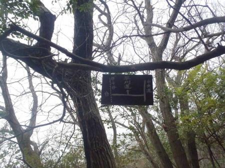 この道標より早刈山の尾根へ下っていく