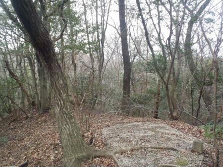 尾根道は歩きやすい