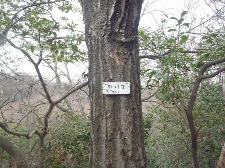 早刈山(142.3m)に到着。ここからは無理に下る感じになる