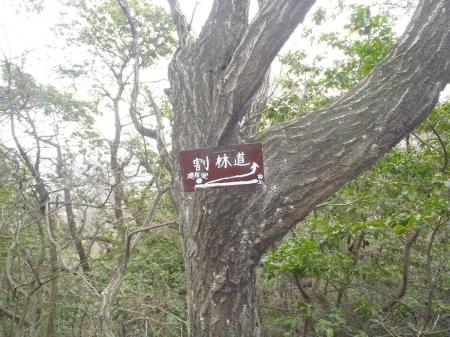 一蓋被より星田山のほうへ向かうとすぐ割林道への分岐の道標があるので従って左へ