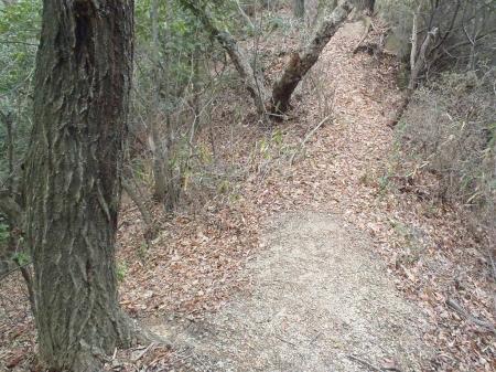 ここを左に下りる