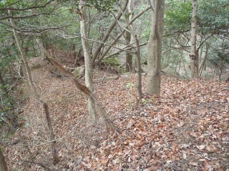 左の尾根へ。尾根にでると踏み跡もある