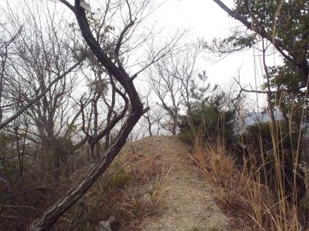 ピークぽいところに出る