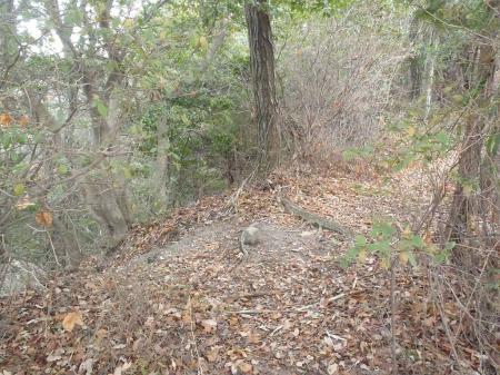 さっきの一蓋被の分岐に戻り少し進むと左手に関電道の階段があるので降りていく