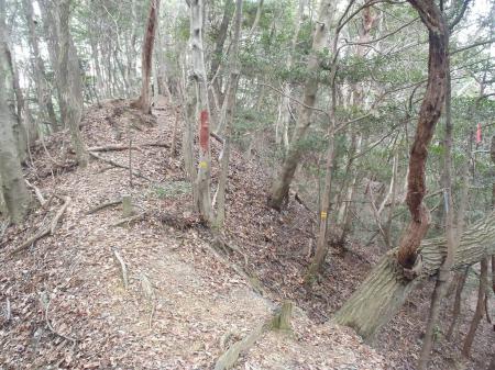 ここをまっすぐ尾根を進む。右へ降りると谷に下りてしまう