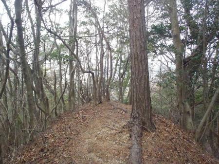 割林山(242.3m)に到着。プレートはなし