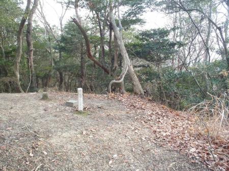 割林山から戻り、星田山の山頂。この右は日高山へ。今回はまっすぐ