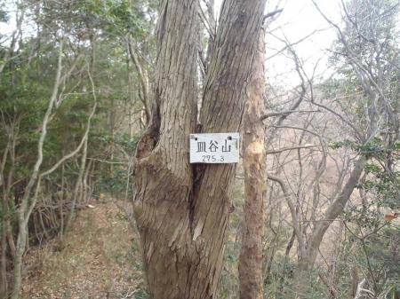 皿谷山(275.3m)に到着。ここからさきに池之内山へ