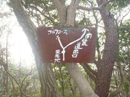 こっち側にもルートがあるようだ