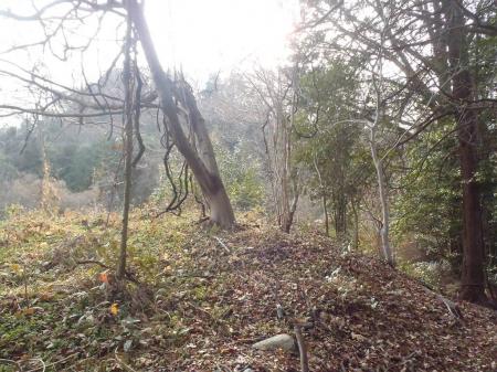 見えている向かいのピークが佛底山