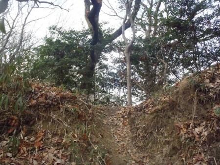 日高山の尾根にとりつぎ。左へ。右は日高山頂