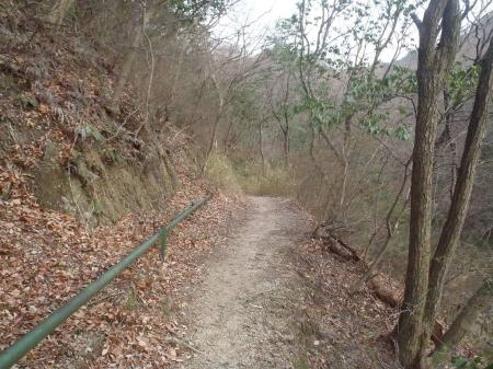 しばらく池沿い（北側のルート）を歩く